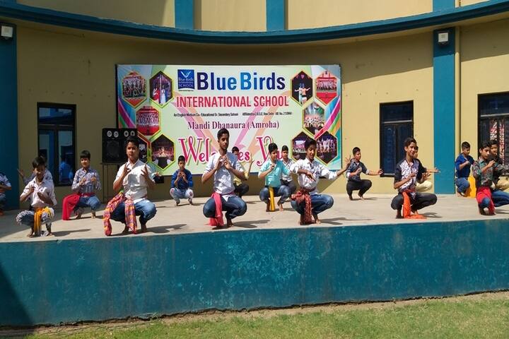 Blue Birds International School, Dhanaura, Amroha: Admission, Fee